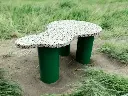 Mesa Coral
