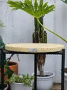 Mesa Puma