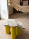 Mesa Coral