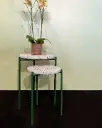 Mesa Puma