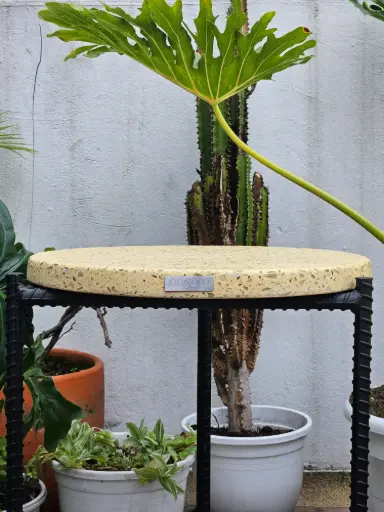 Mesa Puma