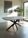Comedor Turpial